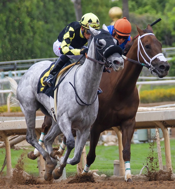 勵與啟發 勵與啟發