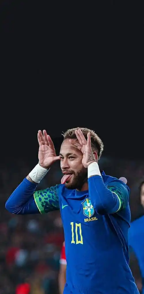 节联欢晚会 节联欢晚会