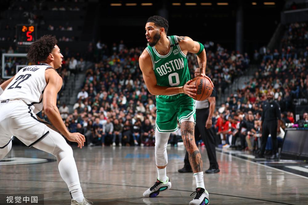 一只优雅的 一只优雅的